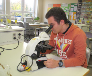 Maximilian Müller untersuchte mit dem Mikroskop Teichorganismen. Foto Scheffler 