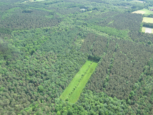 Der Dämmerwald vor der Haustür. Luftbild: Helmut Scheffler