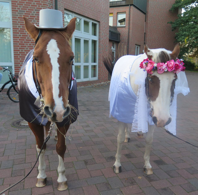 Hochzeit in Schermbeck