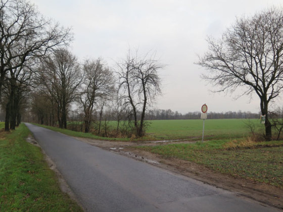 Die Fläche östlich (rechts) des Wachtenbrinker Weges gehört zu jenem Bereich, in dem die Gemeinde Schermbeck eine Konzentrationszone für Windkraftanlagen errichten möchten. Foto Scheffler