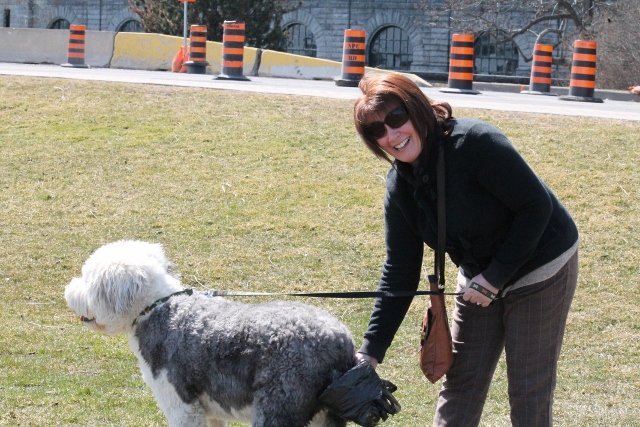 Faltbares Hundeklo in Kanada (1)