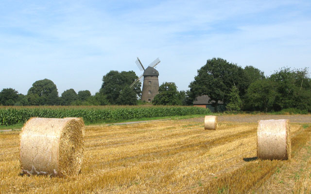 So zeigte sich die dammer Windmühle am 18. August 2012 von der Südostseite aus. Foto: Helmut Scheffler