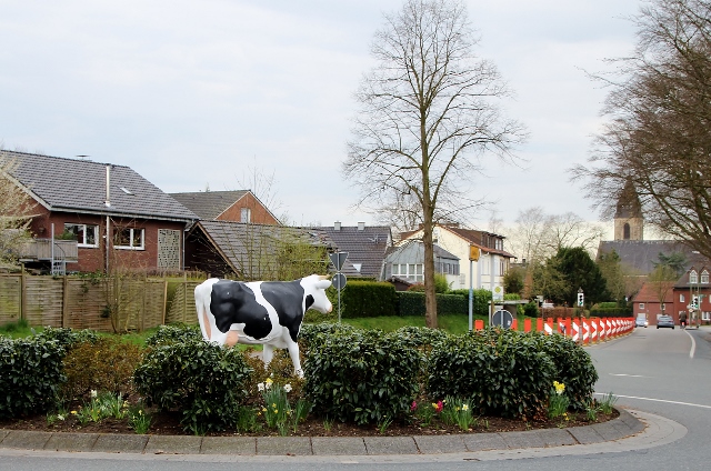 Kuh im Schermbecker Kreisverkehr