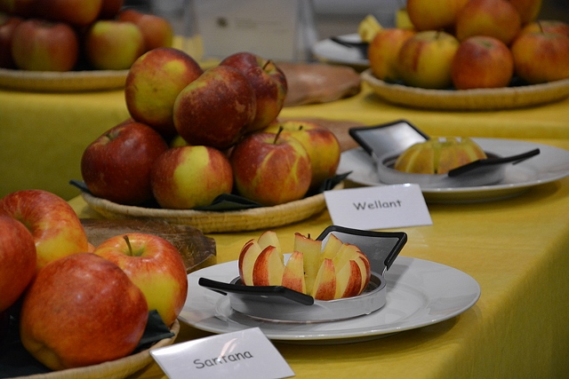 Einfach mal Äpfel probieren Foto: Sabine Weis