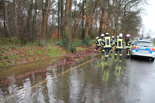 Feuerwehr Aquaplaning Dämmerwald (1)