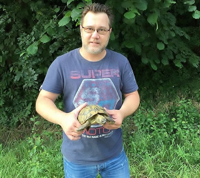 Schildkröte in Gahlen gefunden (640x570)
