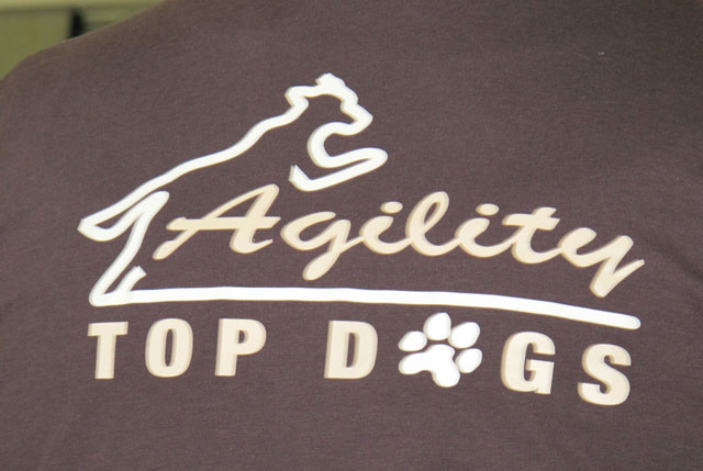 Agility-Turnier: 100 Hunde werden erwartet