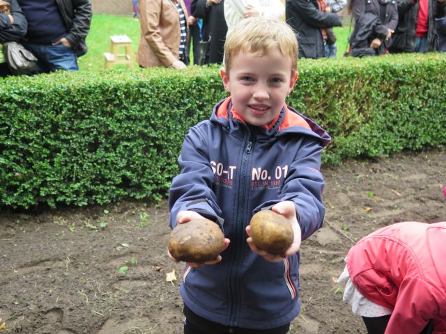Kartoffelfest im Gahlener Kindergarten