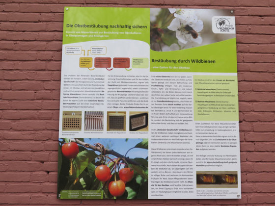  Eine große Tafel an der Westseite informiert über den Einsatz von Mauerbienen zur Bestäubung von Obstkulturen. Foto: Helmut Scheffler