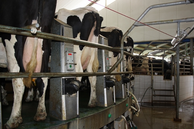 Adieu Milchquote – eine Bilanz mit Blick nach vorn