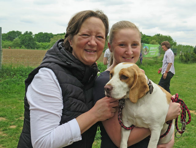 Beagle-Treff: 130 Hunde genossen den freien Auslauf in Gahlen