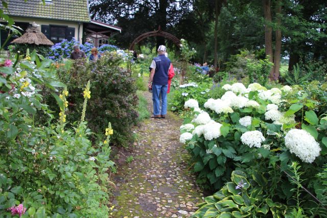Sommerblumen Garten Paus-Foto Petra Bosse (11)