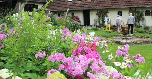 Sommerblumen Garten Paus-Foto Petra Bosse (17)