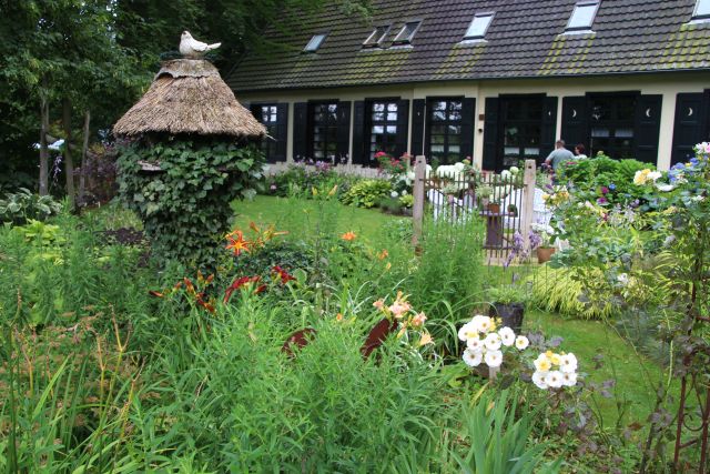 Sommerblumen Garten Paus-Foto Petra Bosse (42)