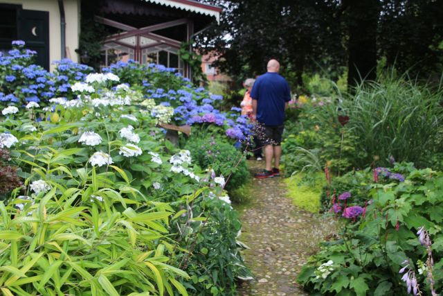Sommerblumen Garten Paus-Foto Petra Bosse (43)