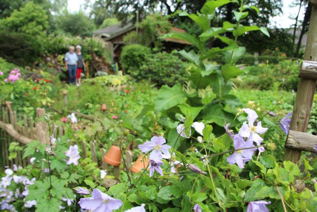 Sommerblumen Garten Paus-Foto Petra Bosse (54)