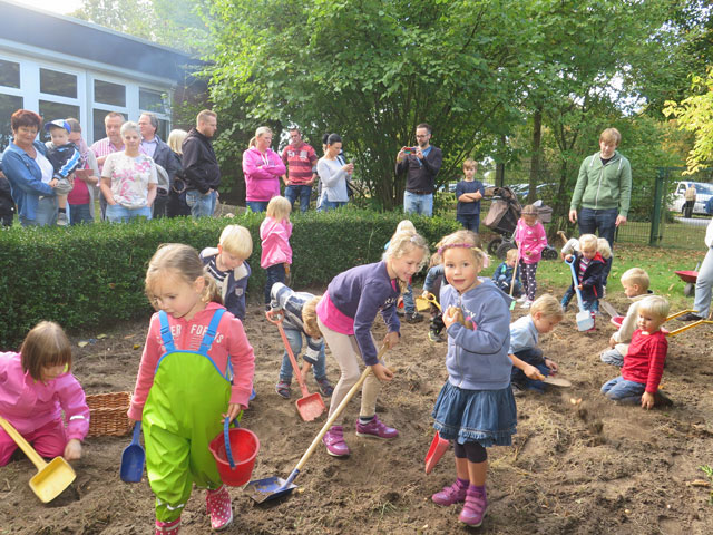 Im Garten des Kindergartens suchten die Kinder eifrig nach Kartoffeln. Foto: Helmut Scheffler