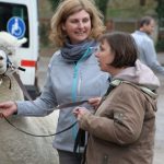 Besuch bei den Alpakas der Familie Lorei in Schermbeck (8)