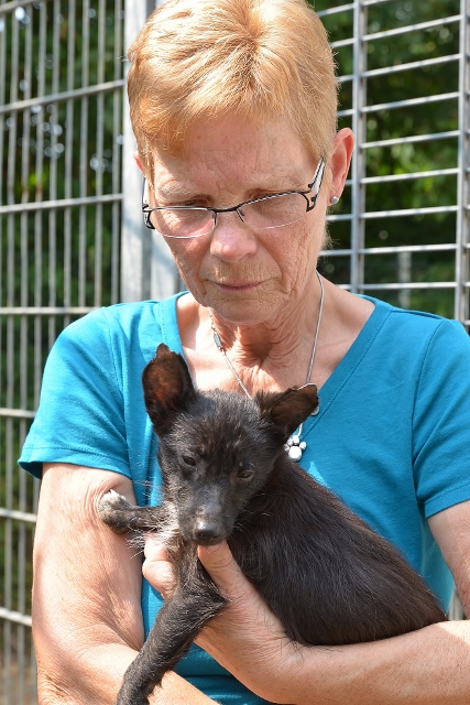 Gabi Wettläufer Tierheim Wesel mit verwahrloste hunde schermbeck