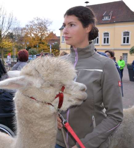 Kein Herdenschutz für Alpakas in Schermbeck - Schermbeck Online