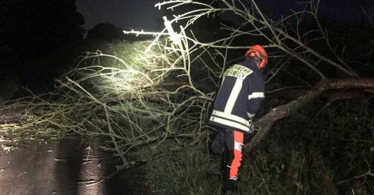 fw-schermbeck-umgest-rzter-baum-blockierte-die-fahrbahn