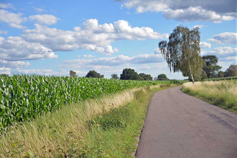 Fahrradtour-durch-Felder-Erle-Schermbeck