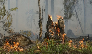 Waldbrand-Überwachungsflüge im Kreisgebiet ab Wochenende