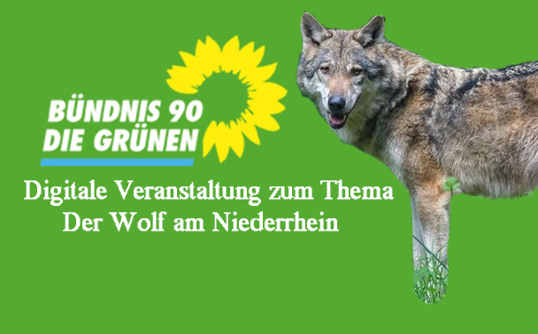 Digitale Veranstaltung zum Wolf am Niederrhein