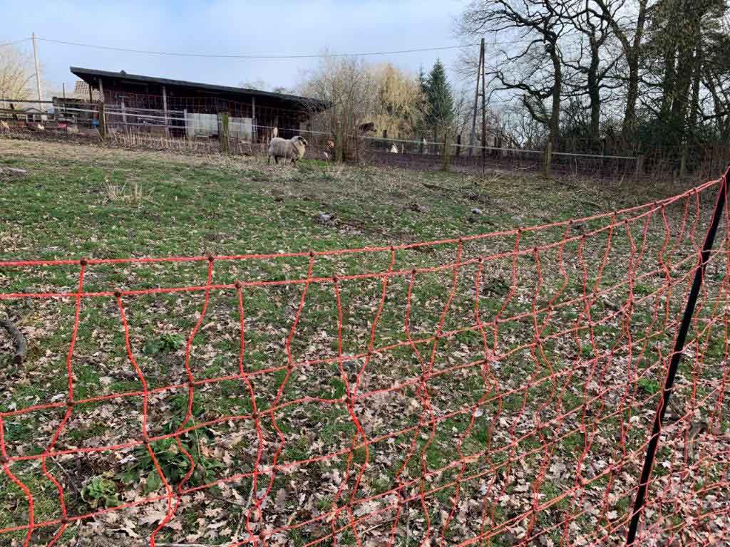 Wolfsriss-Gloria-von-Wesel