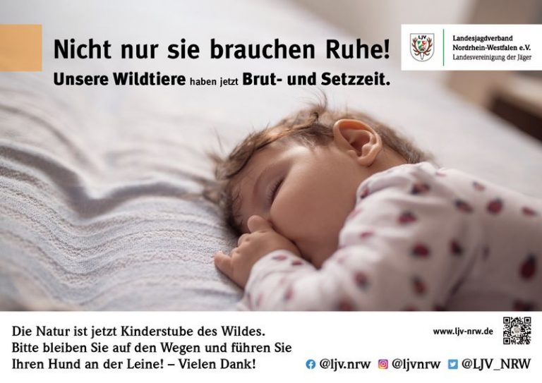 Auch die Natur leidet in Corona-Zeiten unter Stress