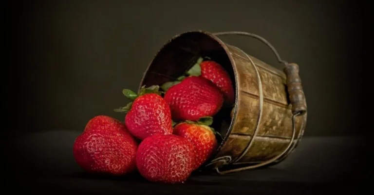 Erdbeer-Saison: Endlich ist sie wieder da, die paradiesische Frucht