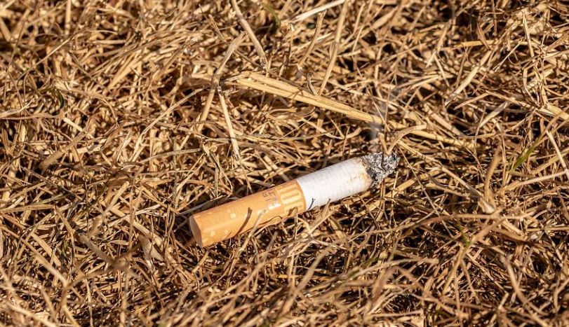 Zigarettenkippen Waldbrandgefahr