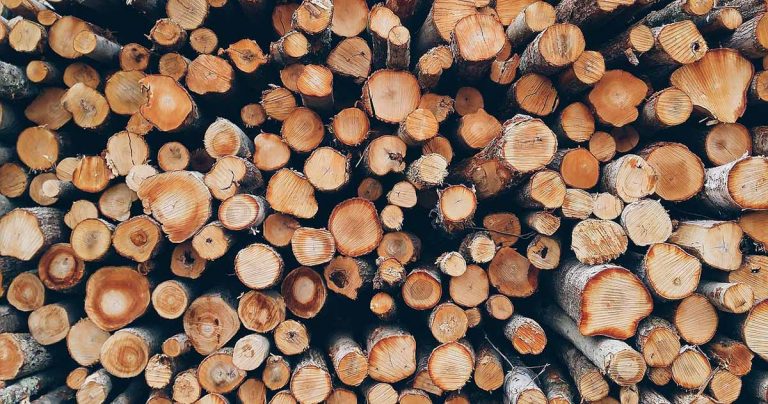 Falsche Holzverkäufer zocken Opfer ab