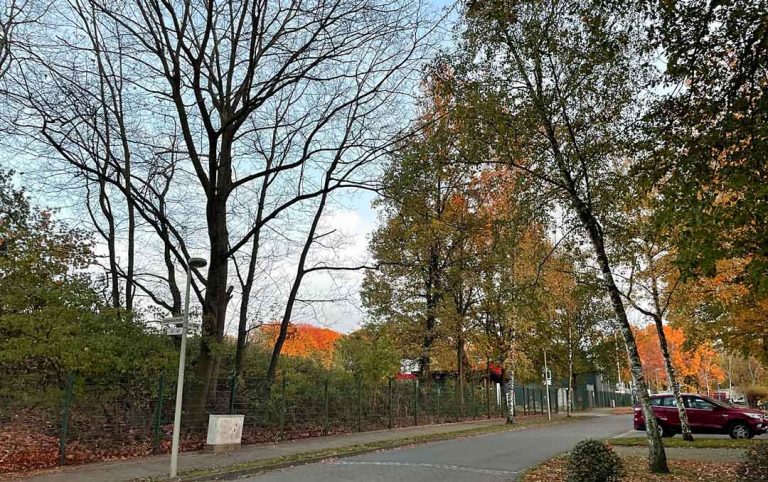 Waldsportplatz Schermbeck sorgt für Diskussionen