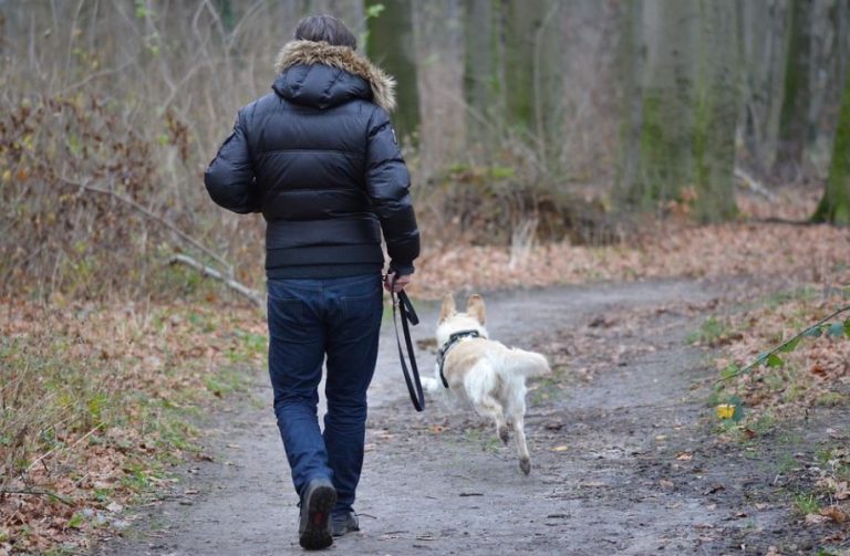 Brünen – Polizei warnt Hundebesitzer