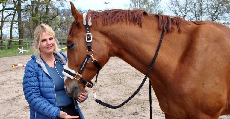 Anja Reiche ertastet die Ursachen für Gesundheitsstörungen bei Pferden