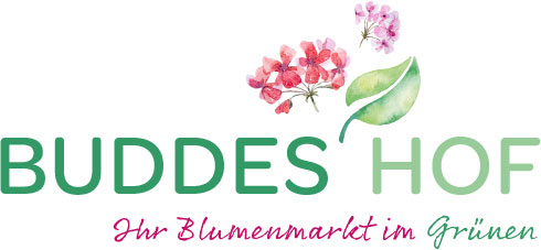Buddes Hof Logo 2024