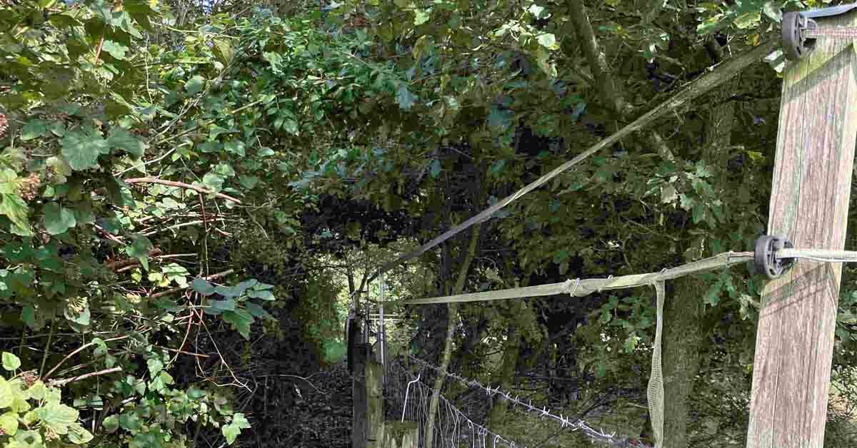 Wolfsicherer Zaun in Schermbeck