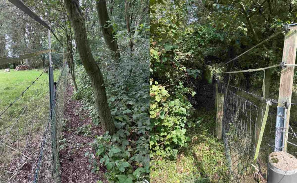 Zaunbau Schermbeck mit Stromlitzen und Untergrabungsschutz