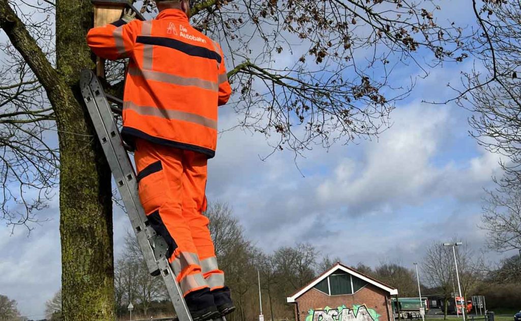 Meisenkästen aufgehängt auf Parkplatz A31 Dorsten