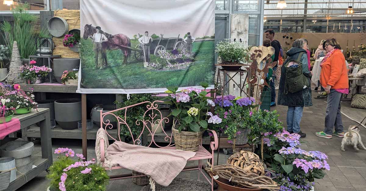 Blumen Stricker in Schermbeck feiert Jubiläum