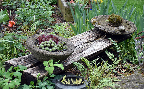 Offene Gartenpforte bei Paus 2025