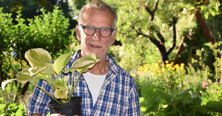 Offene Gartenpforte bei Volker Paus