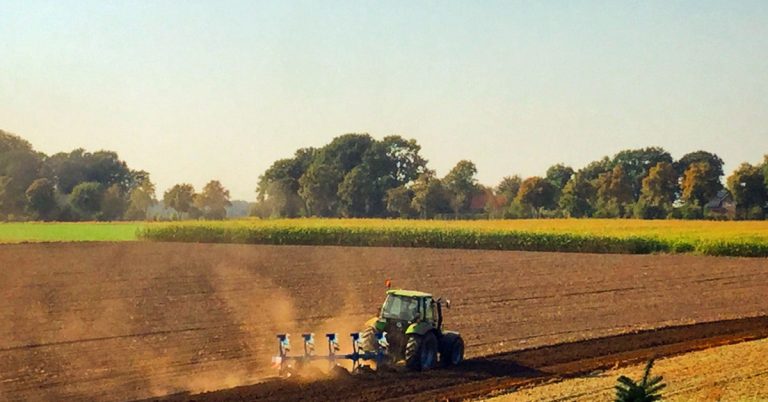 Trockenserie hält an- August 2025 bringt kaum Regen in der Emscher-Lipperegion.