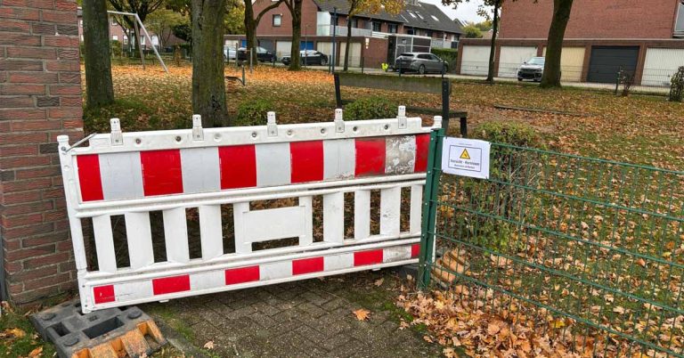 Asiatische Hornisse-Spielplatz in Schermbeck gesperrt