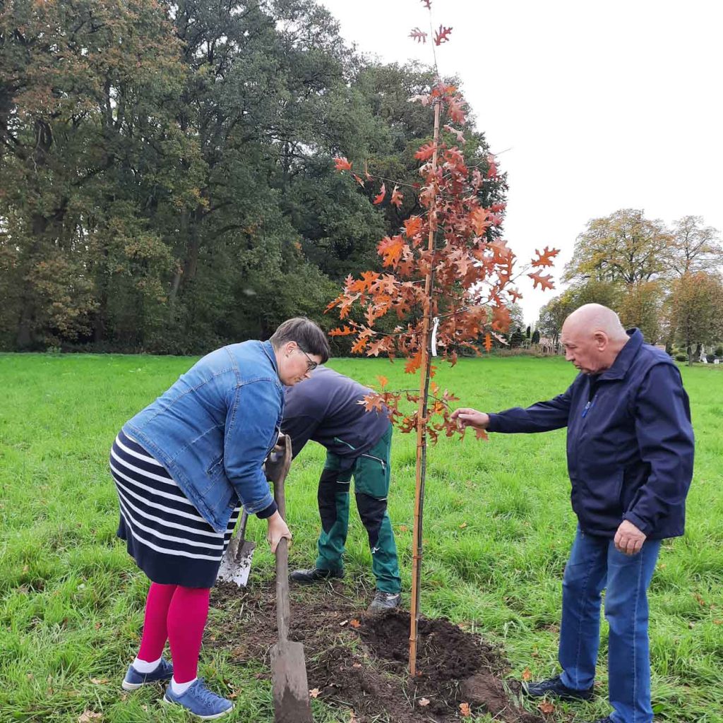 Baum-Challenge-Heimat--und-Geschichtsverein-Schermbeck