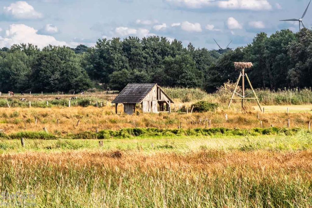 Dingdener-Heide-Naturpark-Hohe-Mark