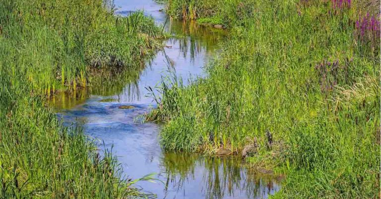 Kläranlage Schermbeck wurden 2024 1.575.338 Kubikmeter Abwasser gereinigt