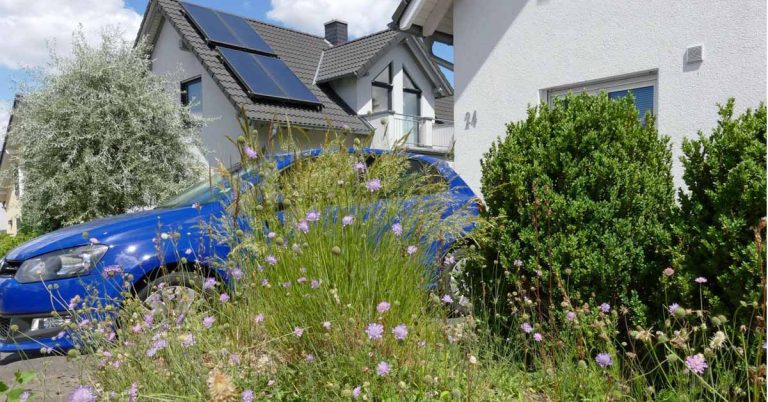 Naturnahe Gärten-Umwandlung eines sogenannten Schottergartens