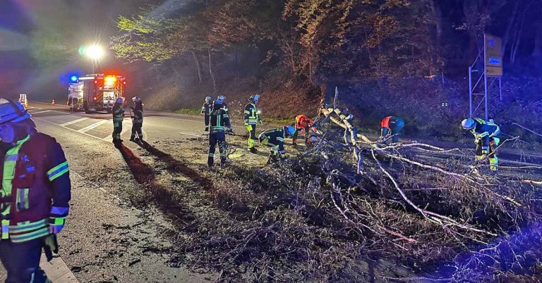 Feuerwehr Schermbeck beseitigt umgestürzten Baum auf der Weseler Straße nach Sturmschaden